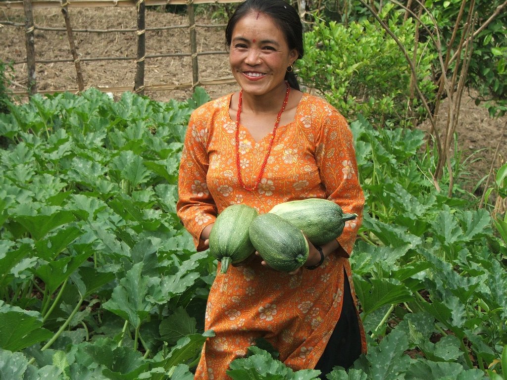 organic farm harvesting