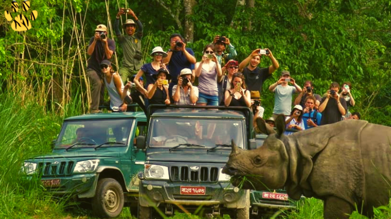 Chitwan jeep safari 2