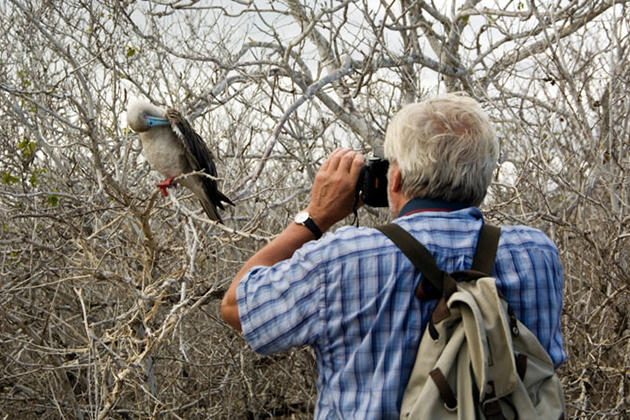 bird watching 2